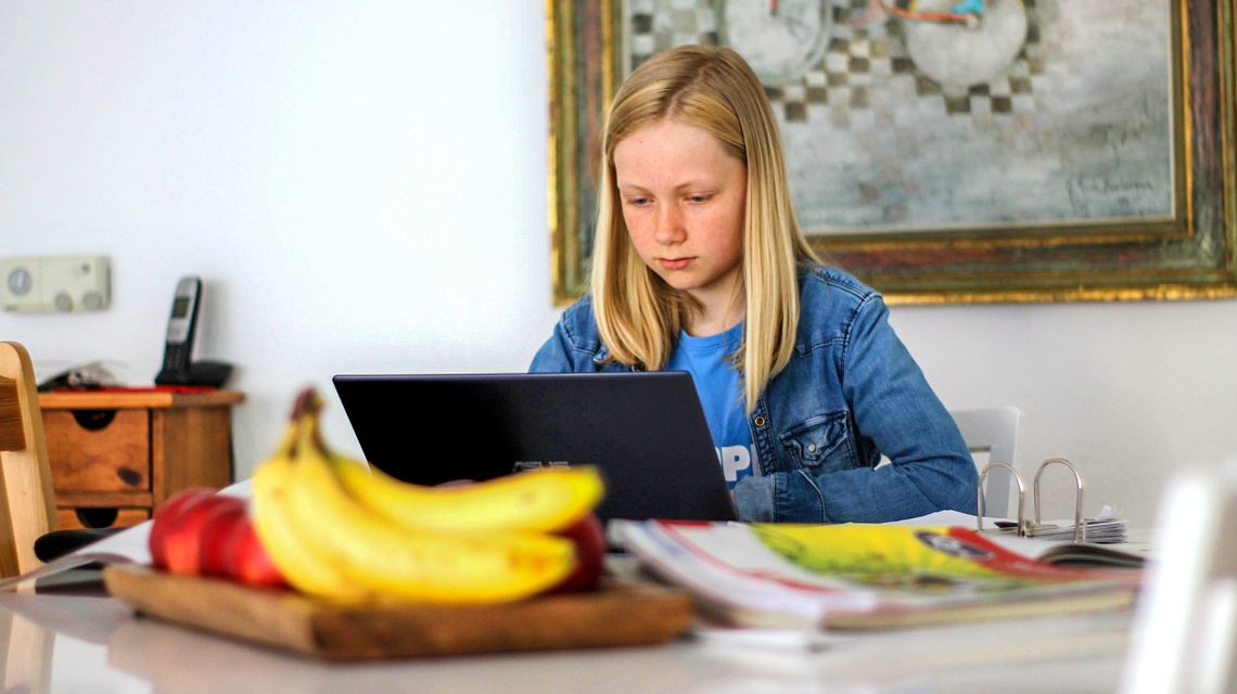 Stadtelternbeirat, Homeschooling...