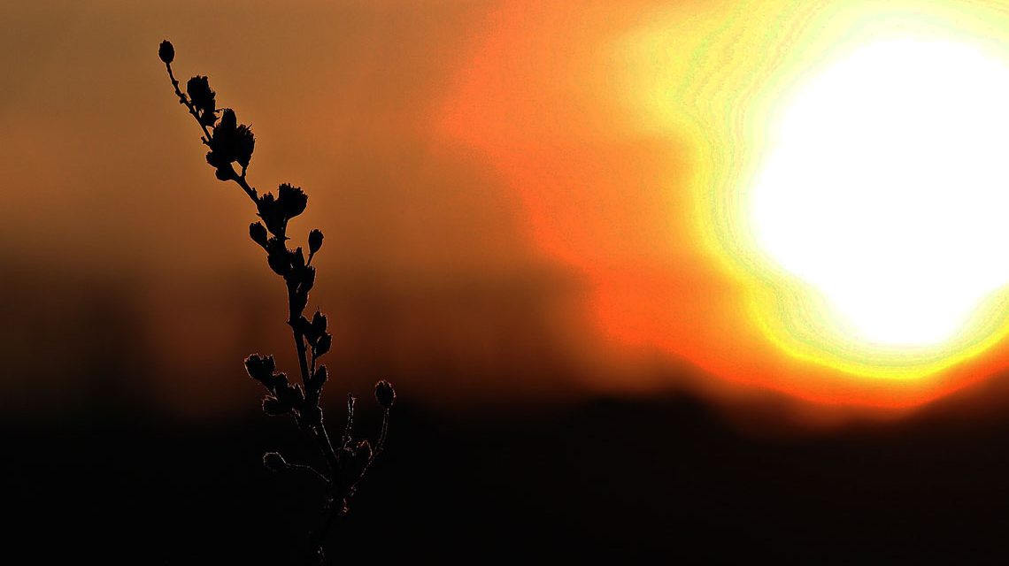 Sonnenuntergang ©2021 S. Hermann & F. Richter auf Pixabay