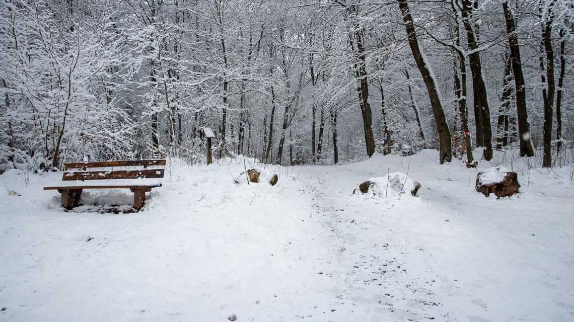 Winterlandschaft Platte Wiesbaden