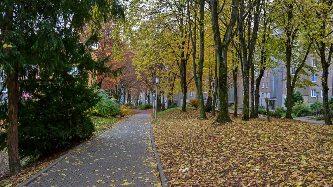 Schelmengraben im Herbst