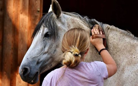 Kind Striegelt ein Pferd