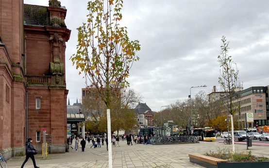 Start des Projekts „Bäume in die Wüste“ auf dem Bahnhofsvorplatz. Junge Bäume frisch gepflanzt.