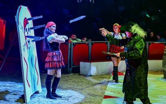 Wiesbadener Weihnachtszirkus