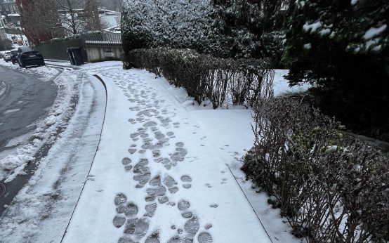So lauf kann Schnee sein