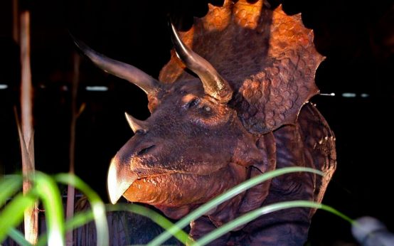 Riesig, lehrreich, lebendig: Jurassic Expo macht Halt in Frankfurt.